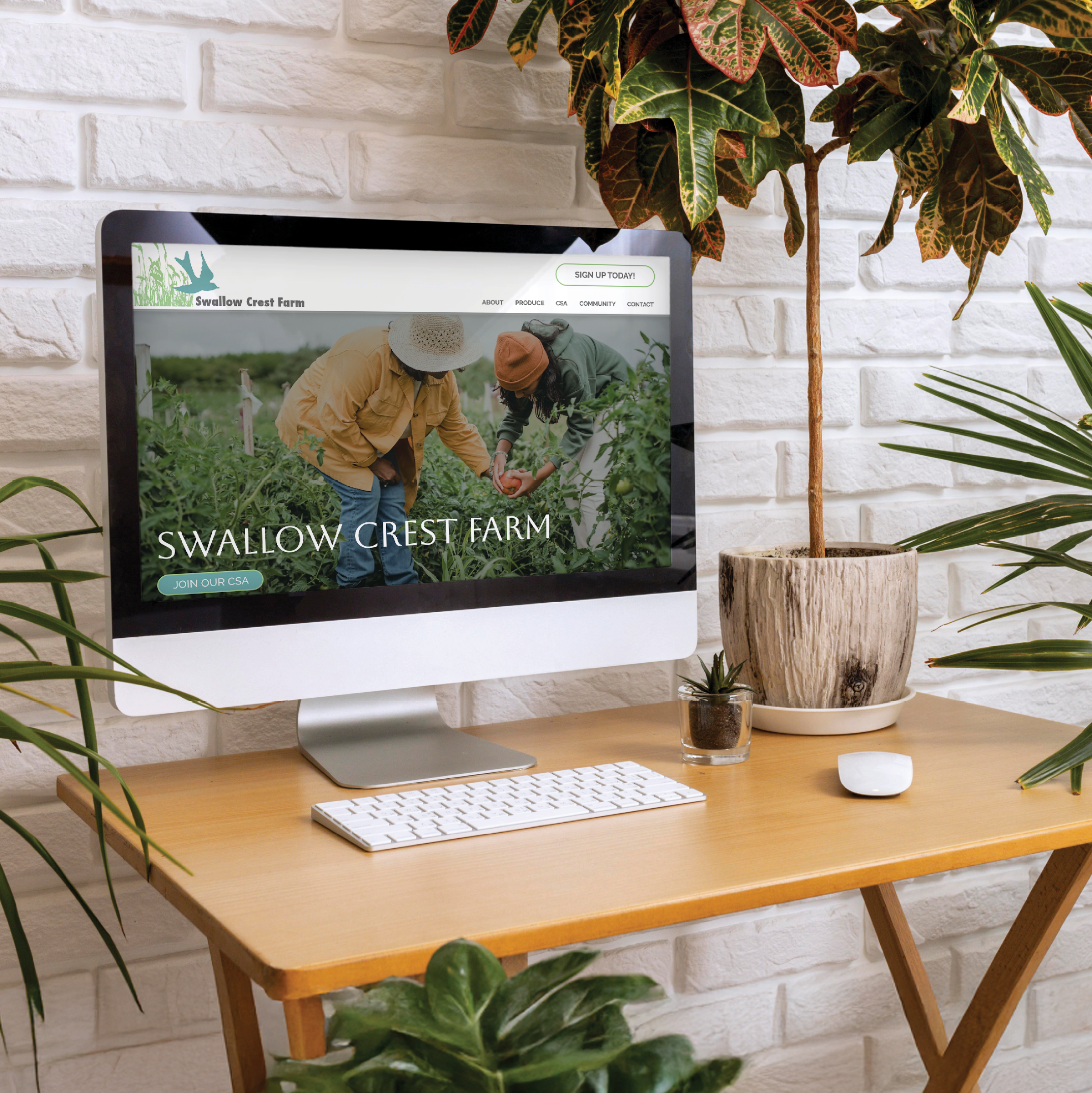web-design